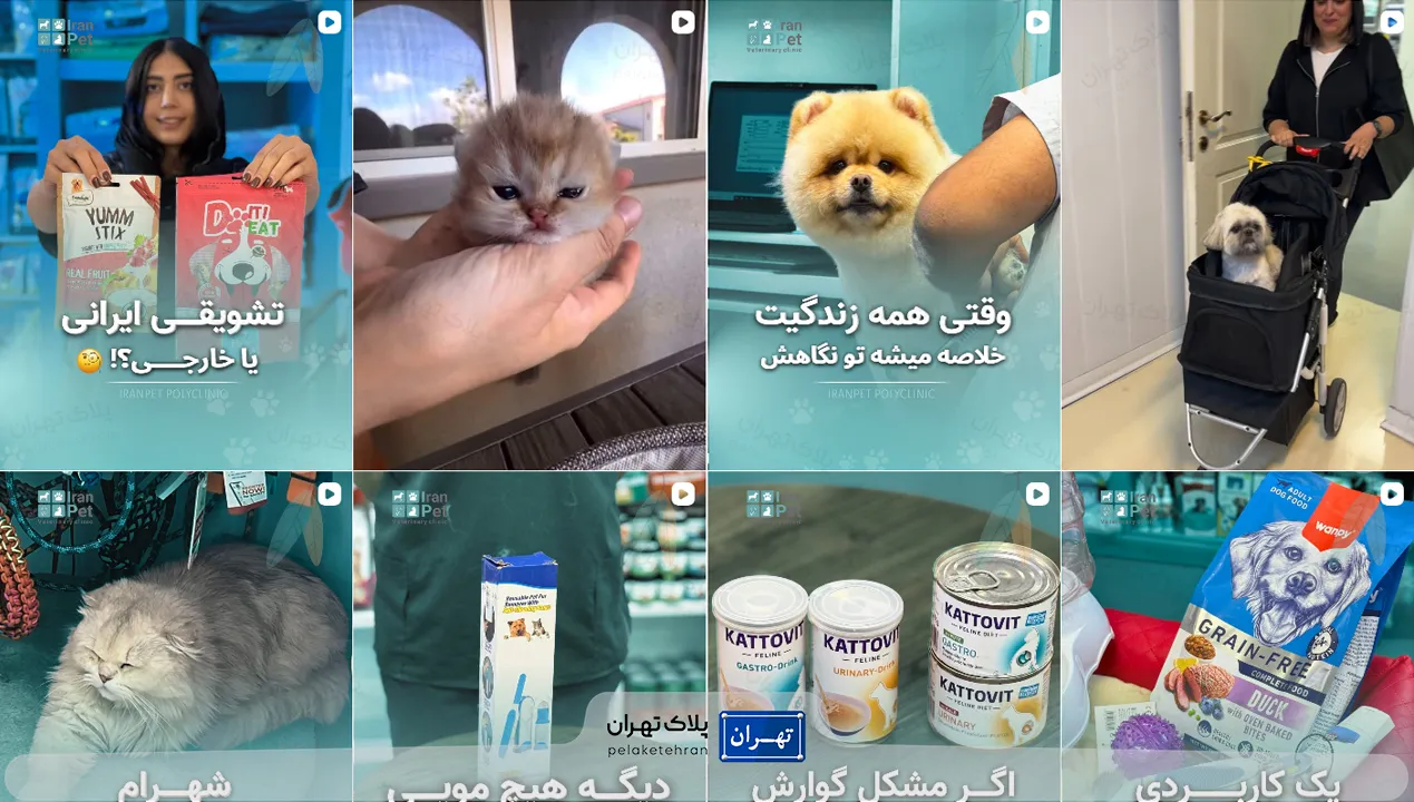 بهترین پت شاپ شمال تهران | ارسال فوری + لوازم اورجینال 61 پت شاپ در تهران