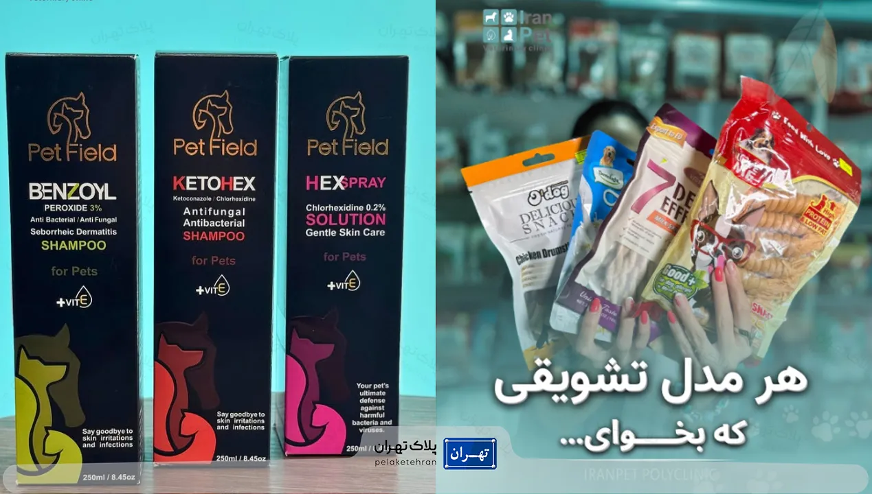 بهترین پت شاپ شمال تهران | ارسال فوری + لوازم اورجینال 62 پت شاپ تهران
