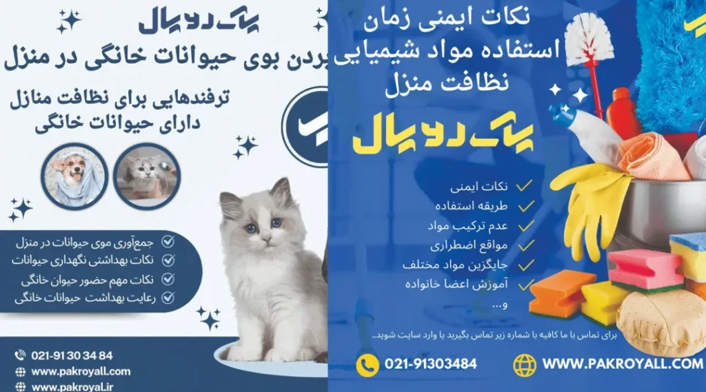 شرکت خدمات نظافتی پاک رویال