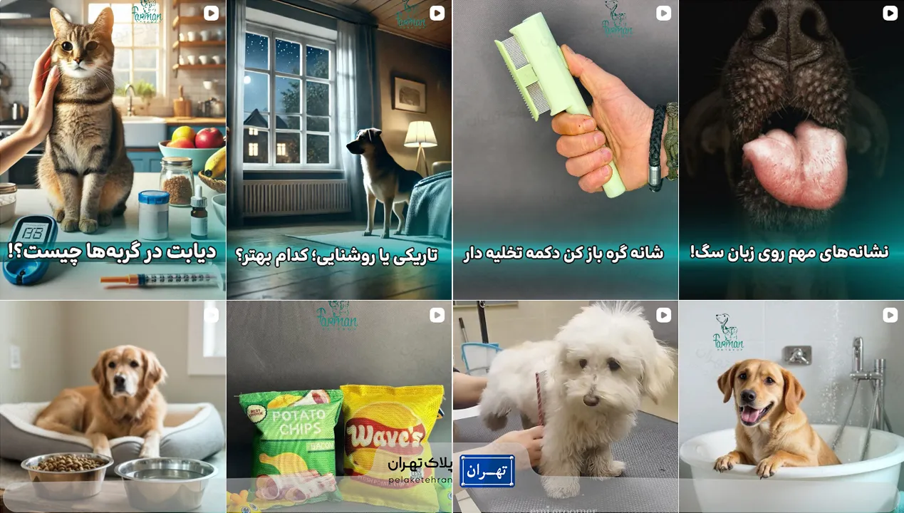 بهترین پت شاپ شمال تهران | ارسال فوری + لوازم اورجینال 94 پت شاپ فرمان