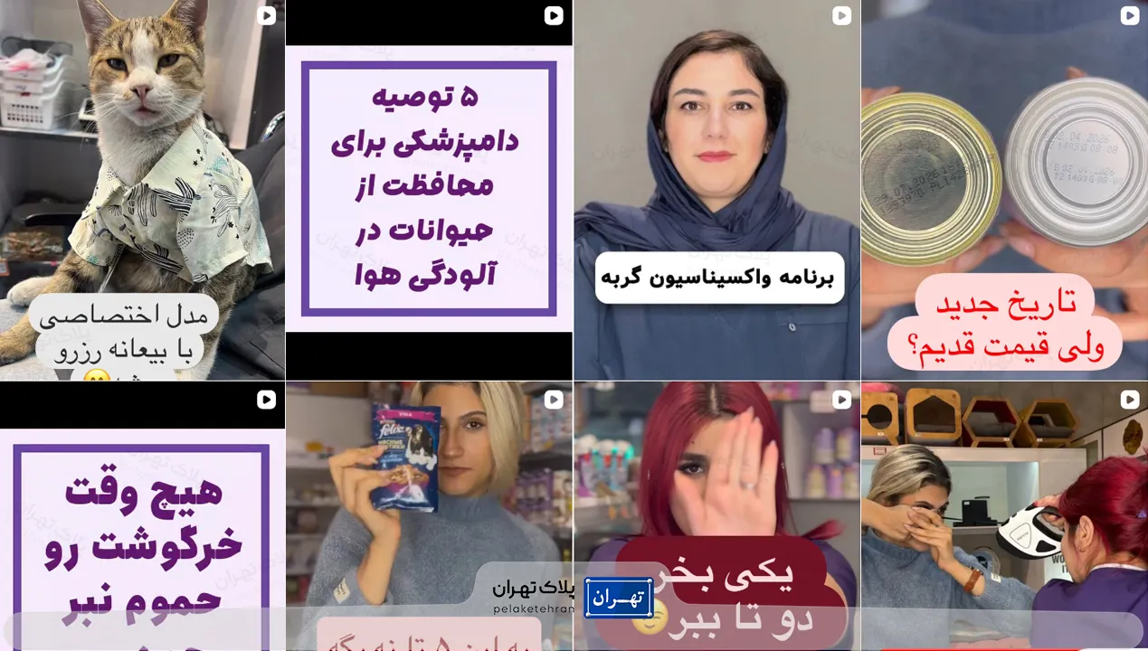بهترین پت شاپ شمال تهران | ارسال فوری + لوازم اورجینال 67 پت شاپ در تهران