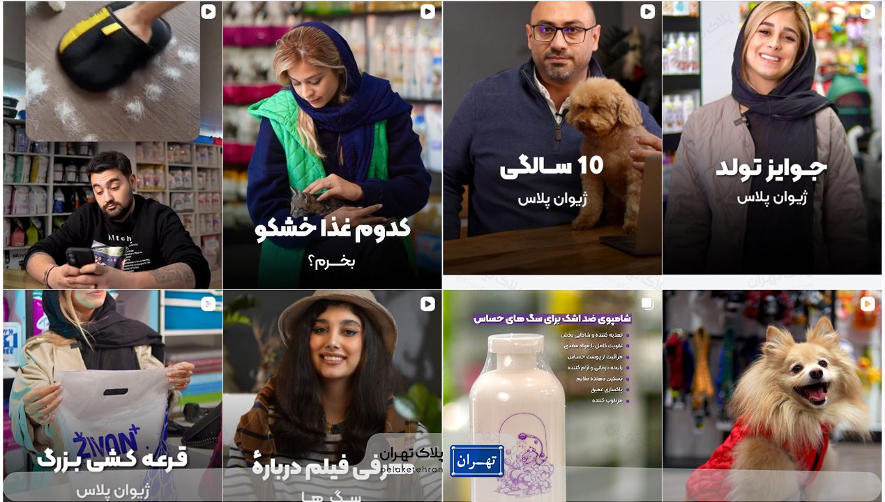 بهترین پت شاپ شمال تهران | ارسال فوری + لوازم اورجینال 25 پت شاپ ژیوان پلاس