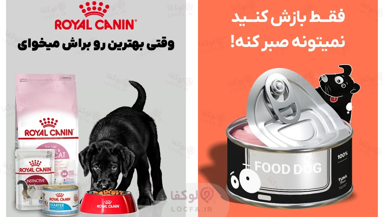 پت شاپ در بلوار دریا - سایت لوکفا
