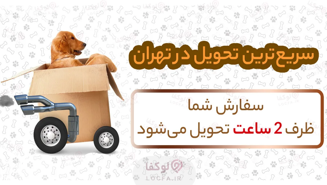 پت شاپ سعادت - سایت لوکفا