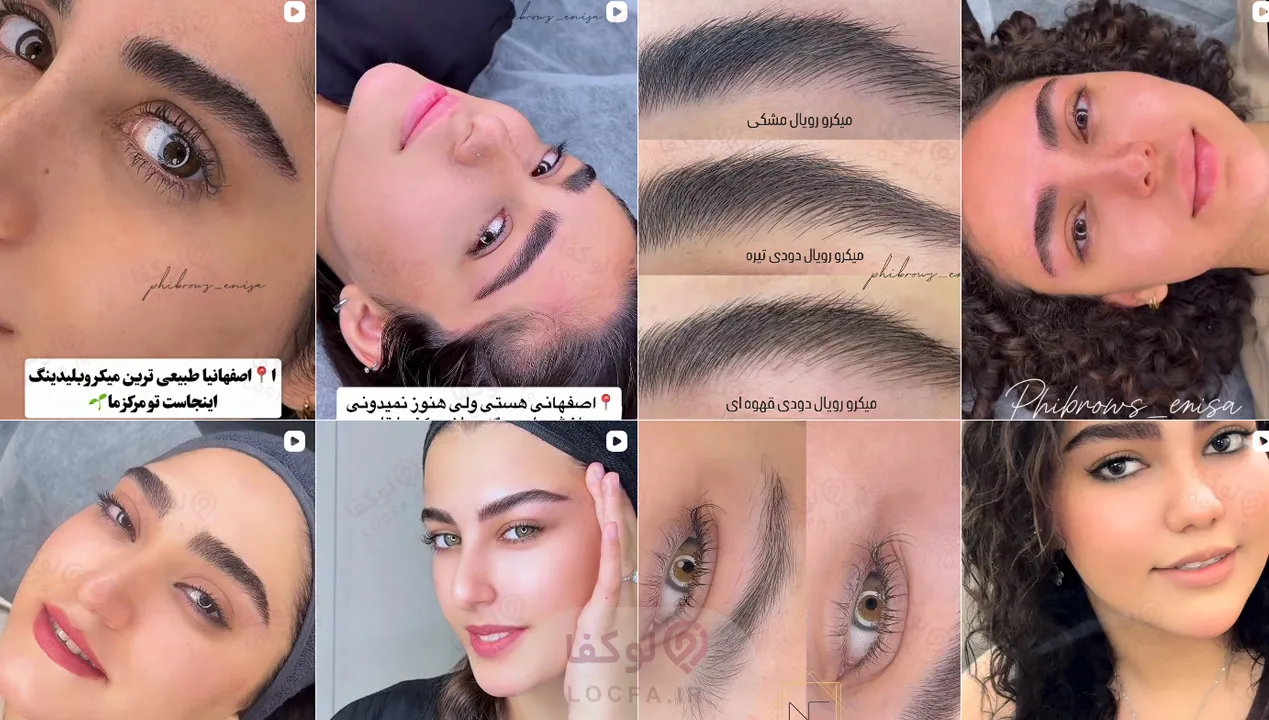 آکادمی میکروبیلدینگ انیسا