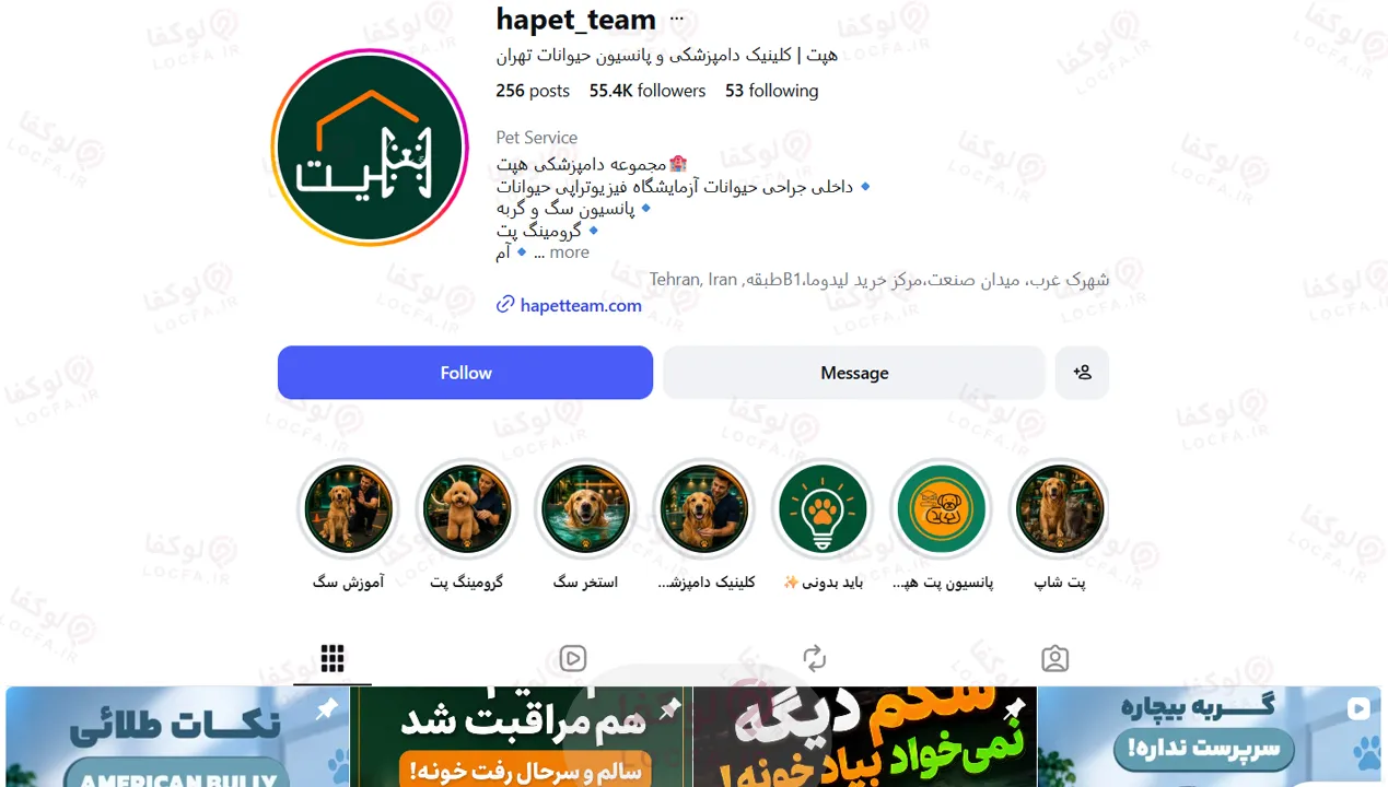 بهترین پانسیون سگ در تهران | معرفی 5 پانسیون برتر 8 قیمت پانسیون سگ در تهران