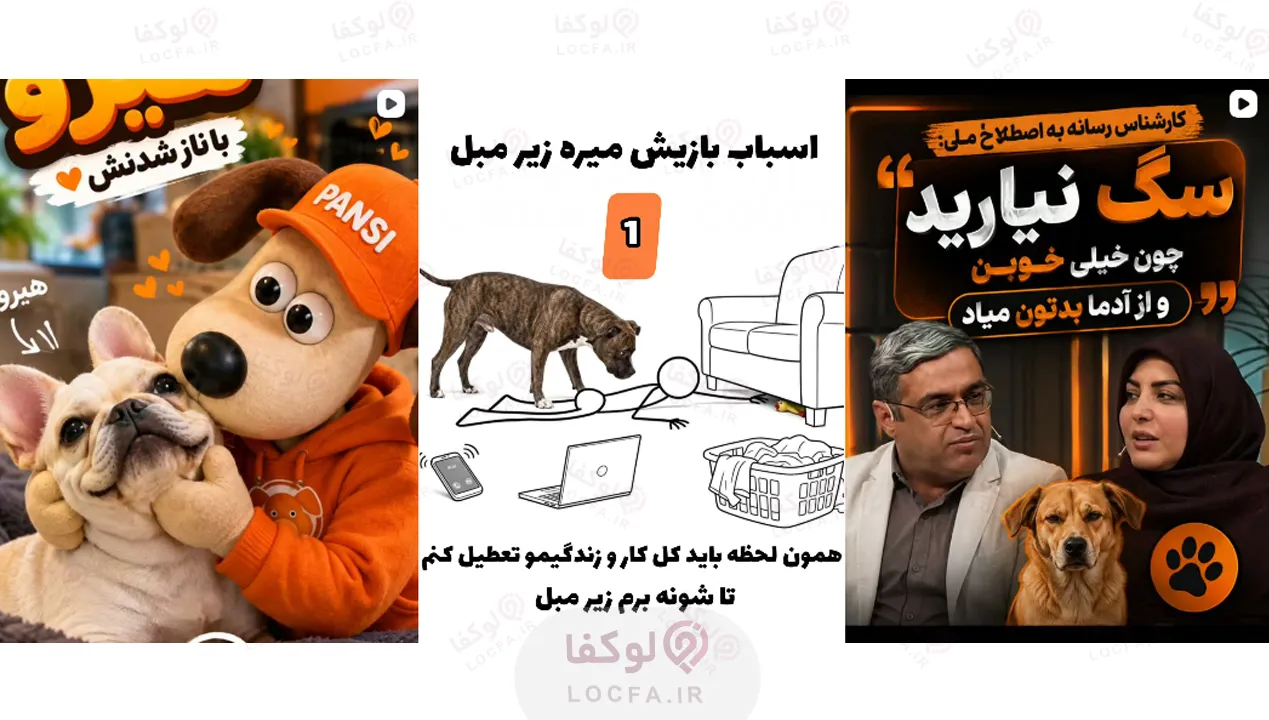 بهترین پانسیون سگ در تهران | معرفی 5 پانسیون برتر 15 پانسیون سگ در نیاوران